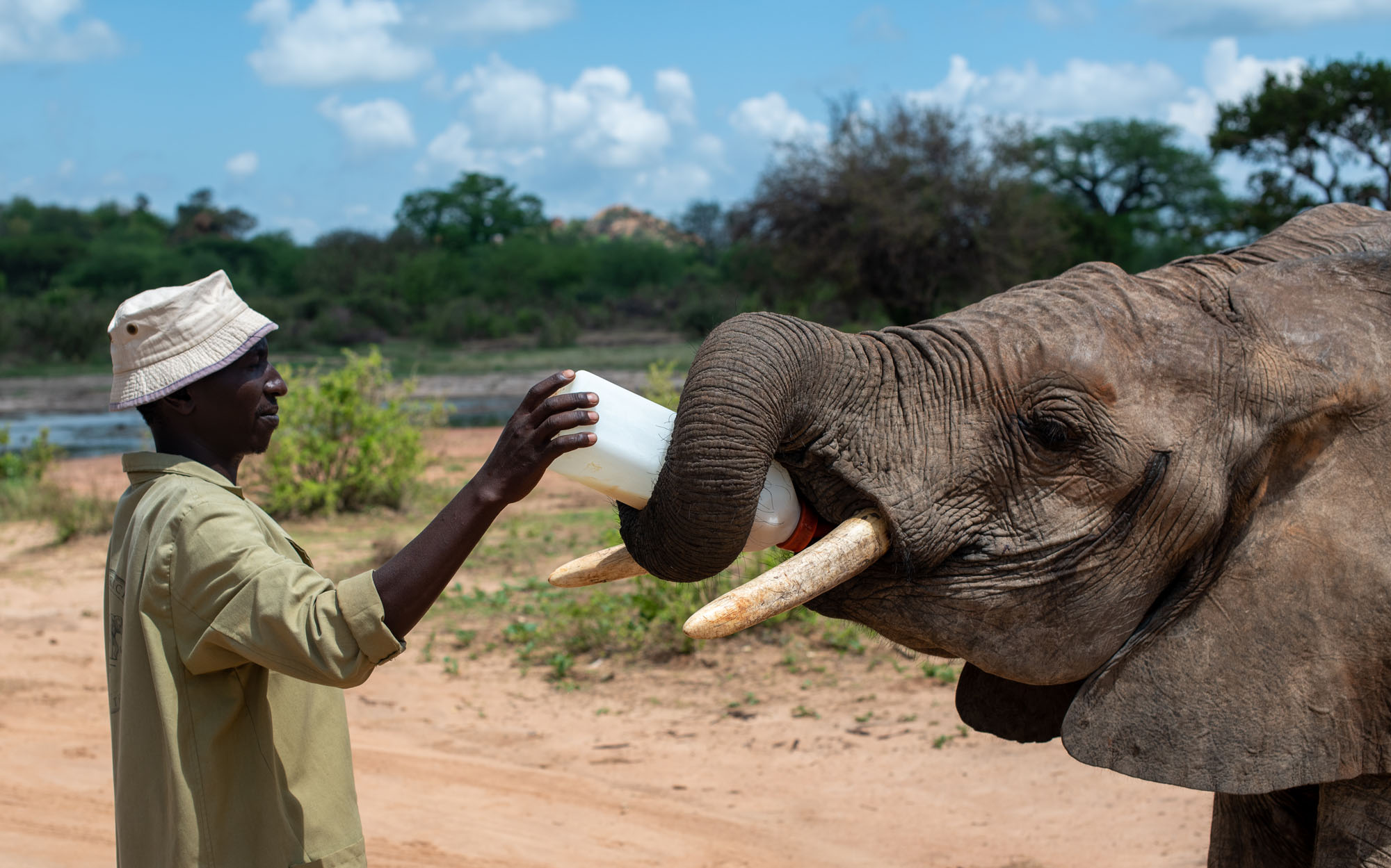 What do elephant do for fun? - Tsavo Trust