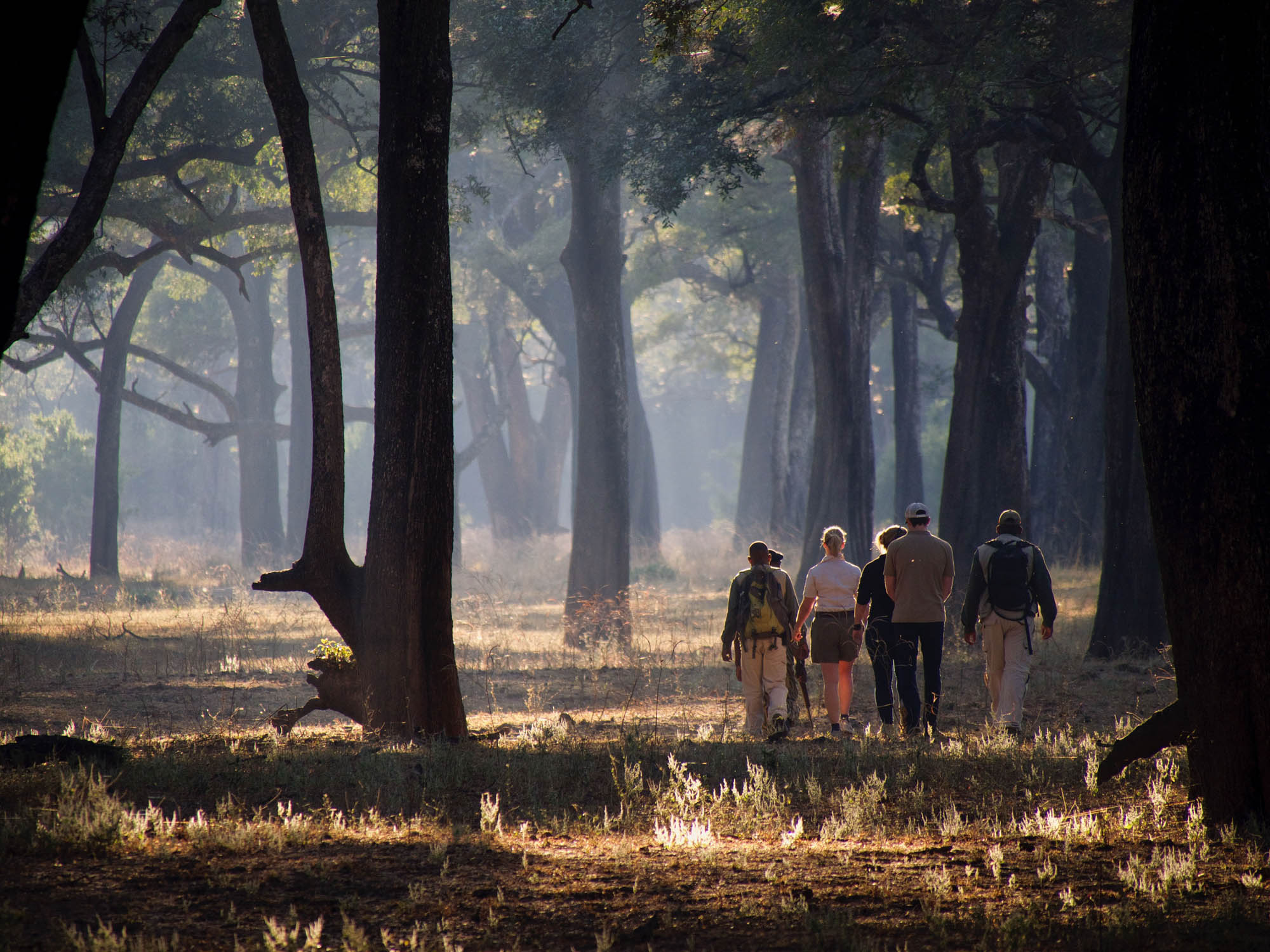 A walking safari in the South Luangwa, Zambia