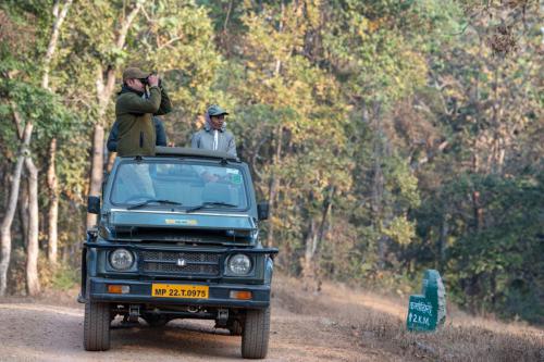 On any of our India trips, there will be a maximum of four guests in two rows in the small open Maruti Suzuki jeeps used for game drives.  The vehicles are highly maneuverable which is a distinct advantage over the heavier Toyota Land Cruisers used by some of the camps, which appear to be almost too large for the narrow tracks.